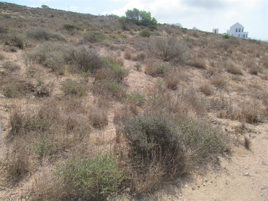 0 Bedroom Property for Sale in Britannica Heights Western Cape